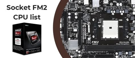 FM2 CPU List: Specs and Compatible Motherboards .